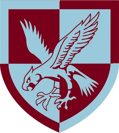 16th AAB patch