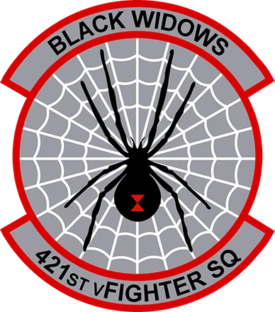421st vFS Black Widows patch